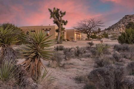 Yucca Valley House | Hot Tub Boulders Art-Infused Adobe- Stella