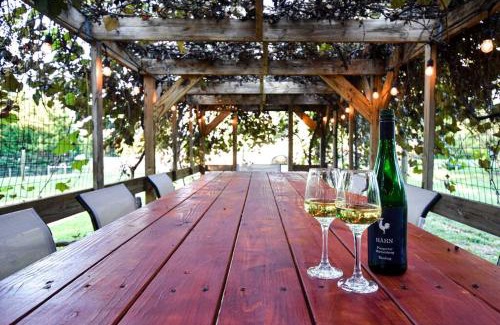 Boyce House | Hot Tub - Fire Pit - Fast Wi-Fi - Pet Friendly - Wine Country Escape