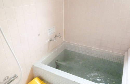 Tateyama Hotel | Hotel ∙ 1 bedroom ∙ 2 guests