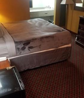 Stillwater Apartment | Hotel 2 Queen Beds Hotel Room 229 Wi-Fi Booking