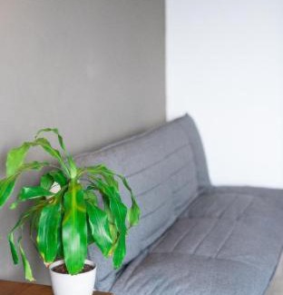 Luis Donaldo Colosio Hotel | Hotel 52 Playa del Carmen