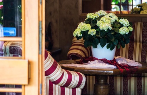 Egestorf Hotel | Hotel Acht Linden