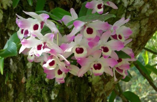 Mury Hotel | Hotel Akaskay