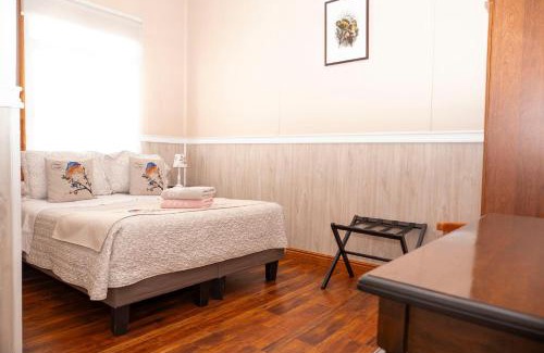 Punta Arenas Hotel | Hotel Albatros