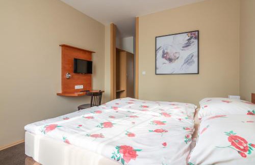Trebic Hotel | Hotel Alfa