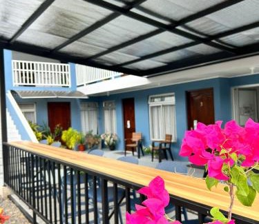 Barrio Pilo Bed & Breakfast | Hotel Alicia