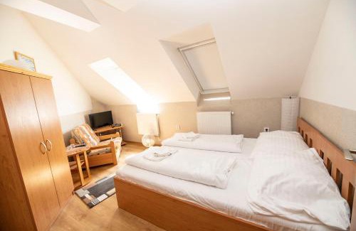 Drnovice Hotel | Hotel Allvet
