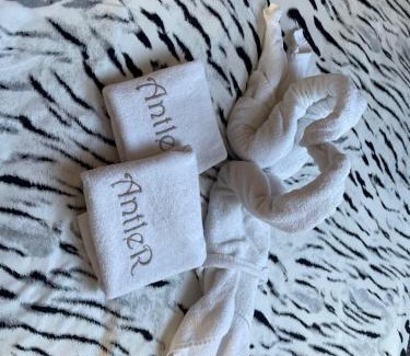 Studenka Hotel | Hotel Antler