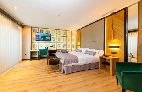 Bolonia Hotel | Hotel Antonio II