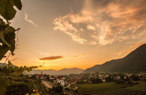 Weissenkirchen in der Wachau Hotel | Hotel Garni Weinquadrat