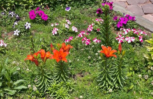 Issyk-Kul Region House | Hotel ATAUUL