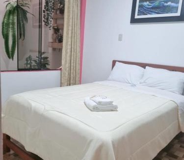 San Andres Hotel | Hotel Atenas City