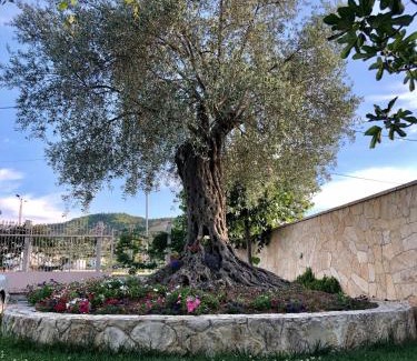 Kashar Hotel | Hotel Autostrada (Highway)