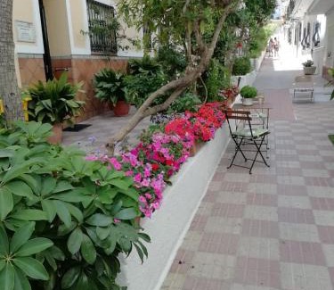 San Pedro de Alcantara Hotel | Hotel Avenida 31