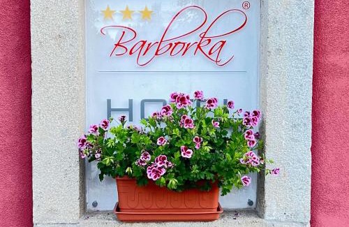Predni Vyton Hotel | Hotel Barborka