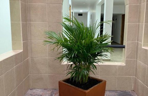 Betania Hotel | Hotel Betania Plaza