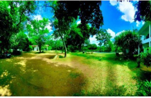 Dambulla Bed & Breakfast | Hotel black jack