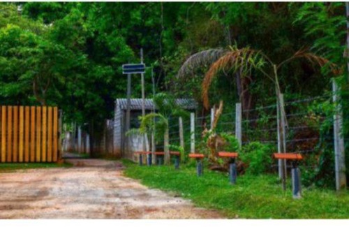 Dambulla Bed & Breakfast | Hotel black jack