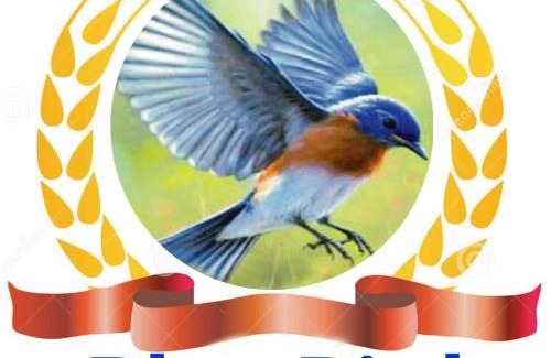 Uttara Hotel | Hotel Blue Bird