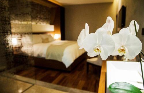 Historic Centre Hotel | Hotel Boutique Casa Madero