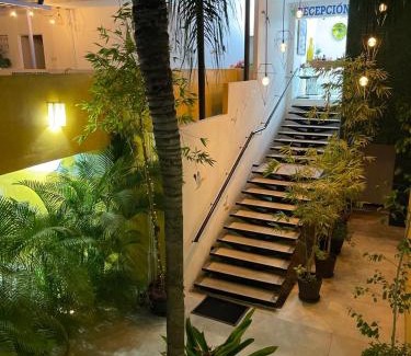 Olimpica Hotel | Hotel Boutique Ixaya