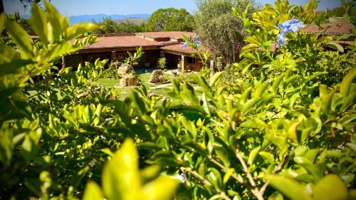 Ixtapan de la Sal Hotel | Hotel Boutique Matea