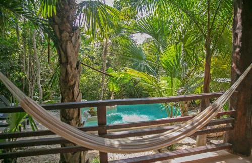 Buenavista Hotel | Hotel Buenavista Bacalar Jungle Experience