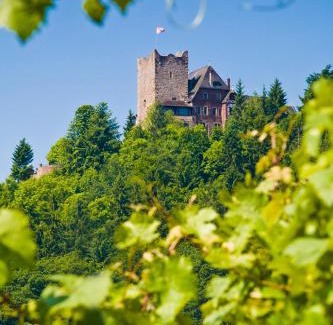 Alf Hotel | Hotel Burg Arras