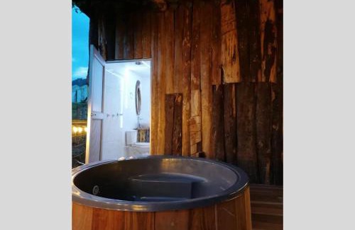 Gallinazo Cabin | Hotel Cabañas y Chalets lujosos Mágica Luna