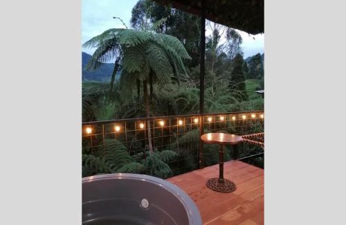 Gallinazo Cabin | Hotel Cabañas y Chalets lujosos Mágica Luna