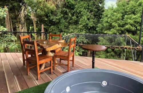 Gallinazo Cabin | Hotel Cabañas y Chalets lujosos Mágica Luna