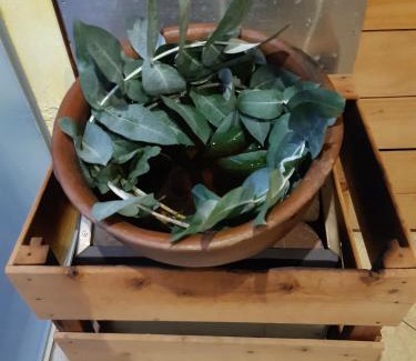 Floresta Hotel | Hotel Campestre Inaoska Ecospa