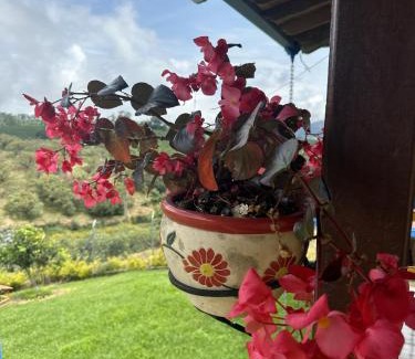 Jerico Hotel | HOTEL CAMPESTRE LA LUISA