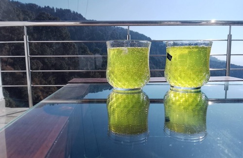 Shimla Hotel | Hotel Candle Wood Shimla