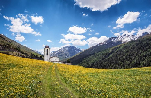 Cresta Hotel | Hotel Capetta