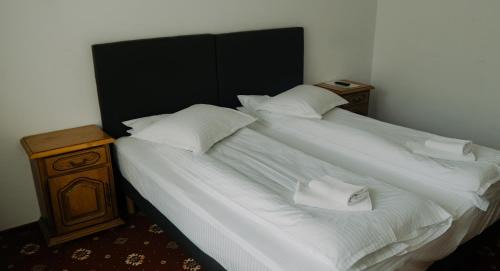 Durau Hotel | Hotel Casa Pelerinul