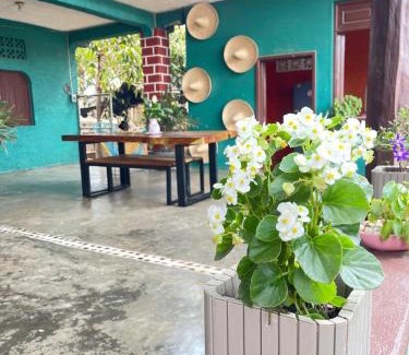 Troncones House | Hotel Casa Verde