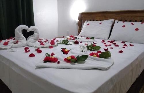 Sao Francisco de Paula Hotel | Hotel Cavalinho Branco