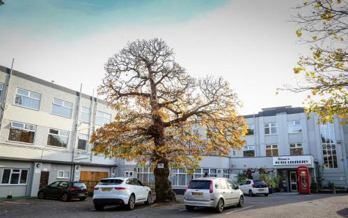 Bournemouth City Centre Hotel | Hotel Celebrity Bournemouth East Cliff by Villare hotels