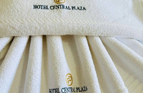 Bromelias Hotel | Hotel Central Plaza Timoteo