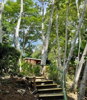 Tarcoles Hotel | Hotel Cerro Lodge