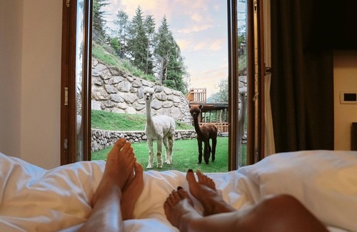 Vermiglio Hotel | Hotel Chalet Al Foss