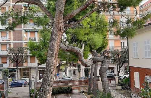 Civitanova Marche Hotel | Hotel Chiaraluna
