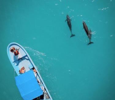 Punta Allen Cabin | Hotel Cielo y Selva