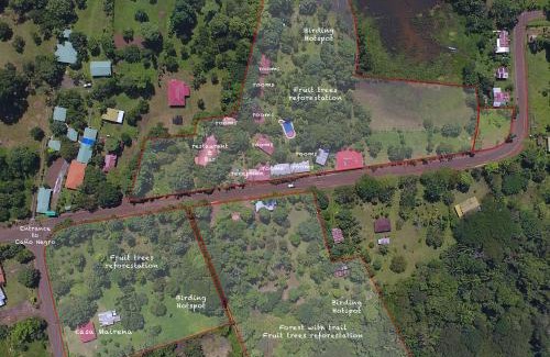 Cano Negro Hotel | Hotel de Campo Caño Negro