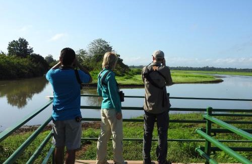Cano Negro Hotel | Hotel de Campo Caño Negro