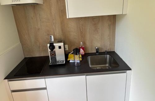 Varen Apartment | Hotel des Alpes