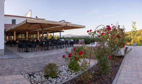 Novo Mesto Hotel | Hotel Dolenjc