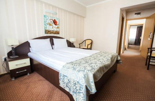 Baile Herculane Hotel | Hotel Domogled