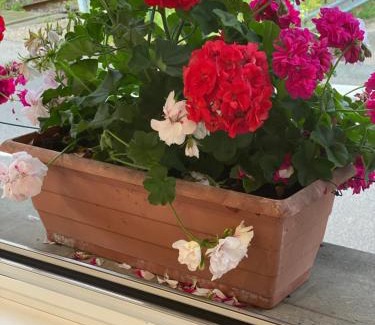 Grand'Combe-Chateleu Hotel | Hotel Du Pont